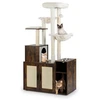 Kačių draskyklė ruda-balta