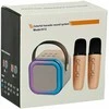 Ikonka Karaokės rinkinys 2 mikrofonai + nešiojamas garsiakalbis BLUETOOTH USB LED rožinis