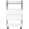 Activeshop Kosmetologo / podologo staliukas 6052T