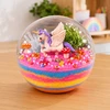Lean Toys Kristalų auginimo rinkinys su terariumu ir apšvietimu