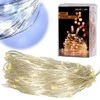 LED girlianda 10 m 100 LED, šaltai balta