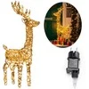 LED girlianda Springos CL1245