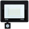 LED prožektorius su judesio ir šviesos jutikliu 50W 6000K IP66