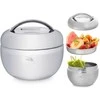 Termosinė dėžutė Apple 1,3l, Orion