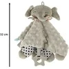 Sensorinis talismanas šerkšno žymė dramblys