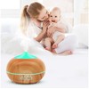Oro drėkintuvas su aromaterapijos funkcija ir RGB apšvietimu