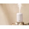 Oro drėkintuvas su aromaterapijos funkcija, 300 ml, USB