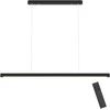 Pakabinamas šviestuvas 114 cm