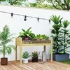 "Outsunny" pakeliama lysvė su akrilo plokštėmis, pakeliama vaistažolių lysvė su drenažo angomis, medinė sodinukų dėžė, oro sąlygoms atspari daržovių lysvė, sodo lysvė, sodinimo lysvė sode, balkone, 110 x 50 x 80 cm natūrali mediena
