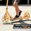 Paspirtukas oranžinis