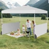 Paviljonas 300 x 300 cm