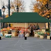 Paviljonas 300 x 600 cm