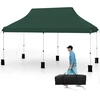 Paviljonas 300 x 600 cm