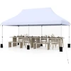 Paviljonas 304.8 x 609.6 cm
