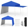Paviljonas 426.7 x 280.4 cm
