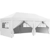 Paviljonas 590 × 295 cm
