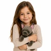 Lean Toys Pliušinis prancūzų buldogas 22 cm