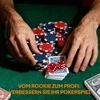 SPORTNOW pokerio lagaminas, pokerio komplektas su 400 žetonų, 11,5 g, 2 kortų kaladėmis, 5 kauliukais, dalintojo žetonu, žaidimų kilimėliu, aliumininiu lagaminu
