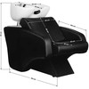 Activeshop Profesionali kirpyklos praustuvė Hair System C38