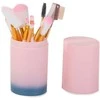 Set of professional make-up brushes 12 pieces
