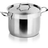Orion Plieninis puodas ANETT 20 cm, 4,6 l, su dangčiu