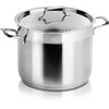 Orion plieno puodas ANETT 22 cm, 6,5 l su dangčiu