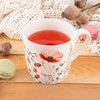 Quantec Orion Porceliano Kavos Puodelis 430 ml - Gėlių Dekoracija