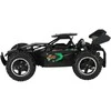 Radijo bangomis valdomas automobilis 1:18