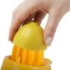 Rankinė citrusinių vaisių sulčiaspaudė, 50 ml