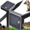Solar mole repellent mole rodent deterrent