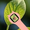 Ikonka Skaitmeninis mikroskopas USB su kamera, 2 MP, 500x padidinimas