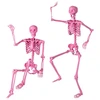 Skeletas 160.0 cm