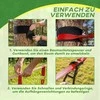 Slackline rinkinys 10 m 1 vnt.
