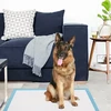 Šlapimo sugeriami paklotai 75 x 90 cm 100 vnt.