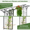 Sodo arka 205 x 52 x 206 cm