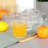 Stiklinės Vilde 350 ml su Rankena, 6 vnt.