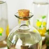 Vilde Stiklinis limonado butelis 1 l su kamščiu