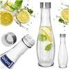 Orion Stiklinė Butelis 480 ml - Universalus Gėrimams