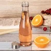 Orion Stiklinė Butelis 480 ml - Universalus Gėrimams