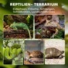 PawHut stiklinis terariumas ropliams, paaukštintu ir vandeniui atspariu dugnu, su mygtuko užraktu