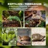 Stiklinis terariumas 50 × 30 × 35 cm