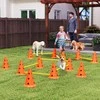 PawHut 6 dalių šunų dresūros rinkinys su kliūtimis, 12 kūgių, 6 reguliuojamo aukščio kliūtys, krepšys