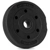 Springos Svorio diskas 1,25 kg