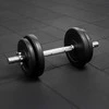 Springos Svorio diskas 1,25 kg
