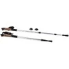 Nordic walking pole trekking pole