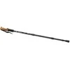 Nordic walking cork walking stick