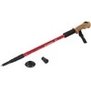 Nordic walking cork walking stick