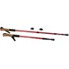 Nordic walking cork walking stick