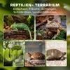 PawHut stiklinis terariumas ropliams, paaukštintas ir vandeniui atsparus dugnas, užraktas su rankenėle