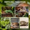 Stiklinis terariumas ropliams PawHut, pakeltas ir vandeniui atsparus dugnas, spynelė su mygtuku